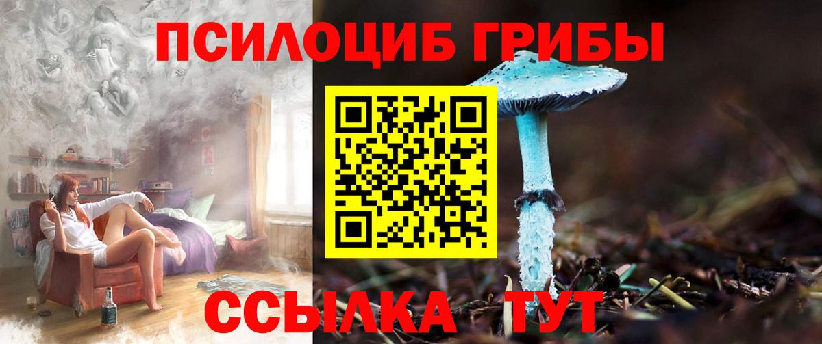 Псилоцибиновые грибы MAGIC MUSHROOMS Белая Калитва