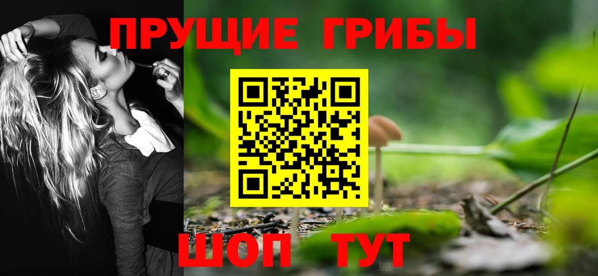Галлюциногенные грибы мухоморы  Псилоцибиновые грибы GOLDEN TEACHER  Вход с VPN  Белая Калитва 